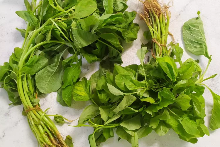 Sayur Bayam Segar